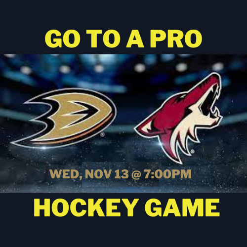 NHL Anaheim Ducks Game WED Nov 13th